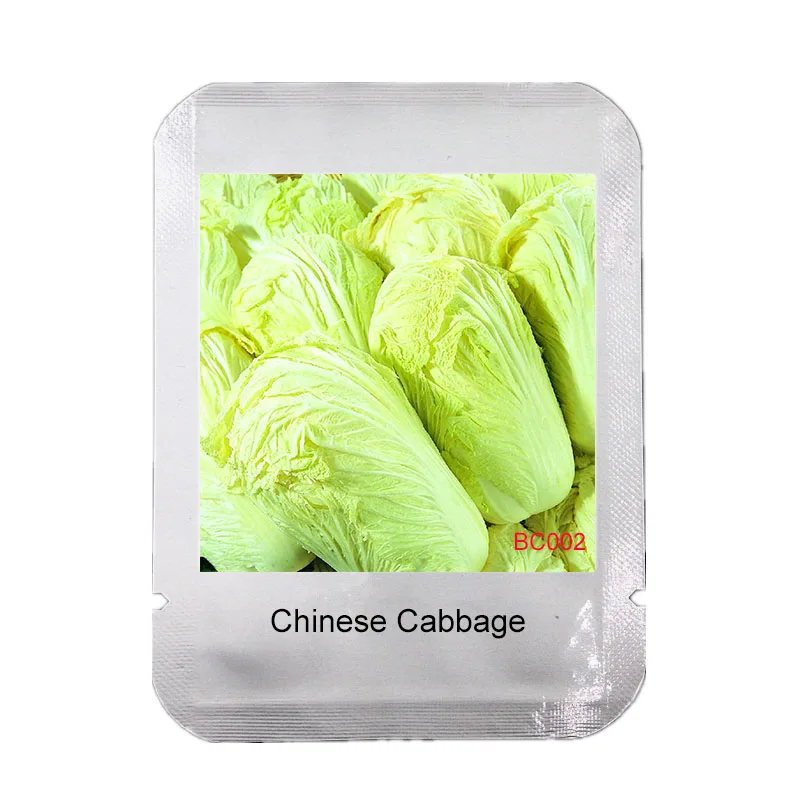 

100 pcs Chinese Cabbage bonsai Easy to Grow Professional Pack Nutritious Green Vegetable garden Brassica Pekinensis Plants,#BC00