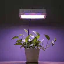 600 W полный спектр светодиодный завода светать садовые овощи растет лампы для комнатных растений Палатка Зеленый дом Vegs сад