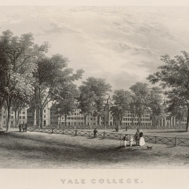 США Йельский Univ 1876 плакат печать Мэри Эванс Picture Library (24X18)|Таблички и знаки| |