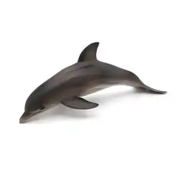 Моделирование морских животных прочные из ПВХ брелок в виде дельфинов игрушки Дети Студенты море биологии развивающие для детей подарок
