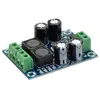 XH-M311 Mini Digital Amplifier Board TPA3118 Audio Amplifier Board Audio Power Amplifier Module Mono 60W ► Photo 3/6