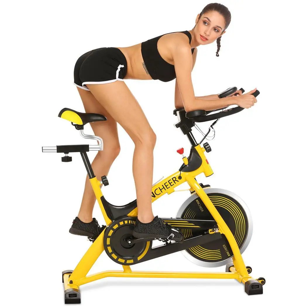 Indoor Cardio Exercise Bike Home Gym Aerobic Fitness Training Flywheel Bicycle 