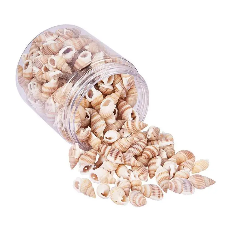 

1Box About 200-220Pcs Bulk Spiral Seashells Dyed Beads Charms Craft Jewelry DIY Making Home Deco 20-30mm Length