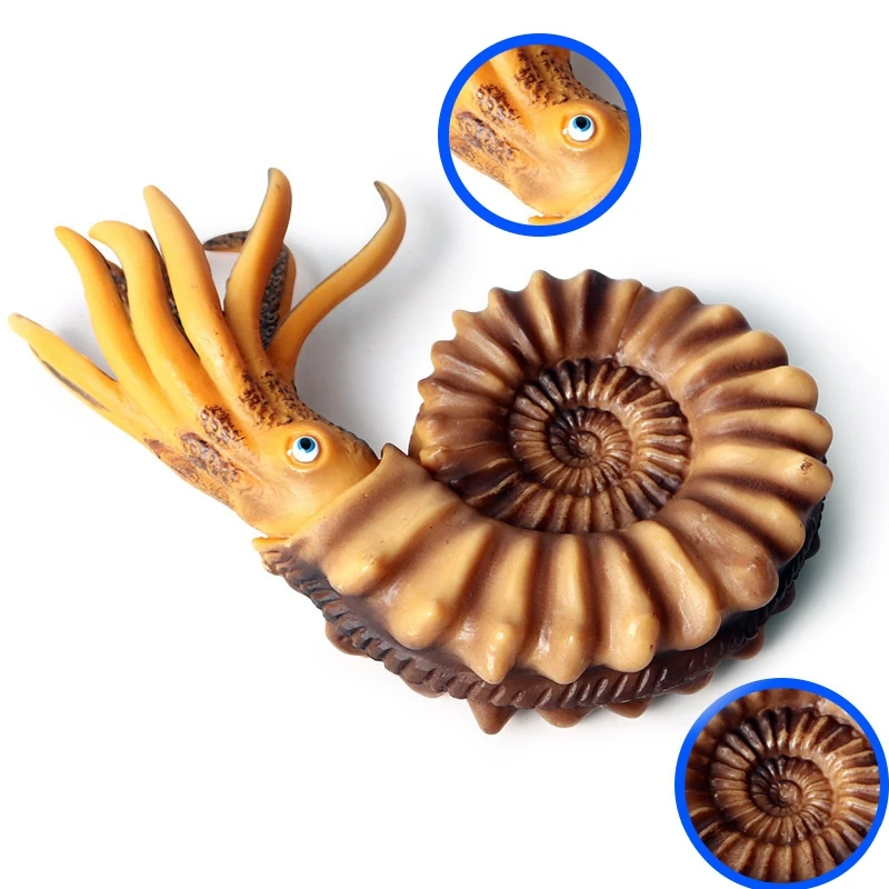 Имитация морской жизни Модель раковины Nautilus Shell кукла украшение