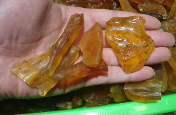 

natural insects amber copal mineral specimens wholesale 100g