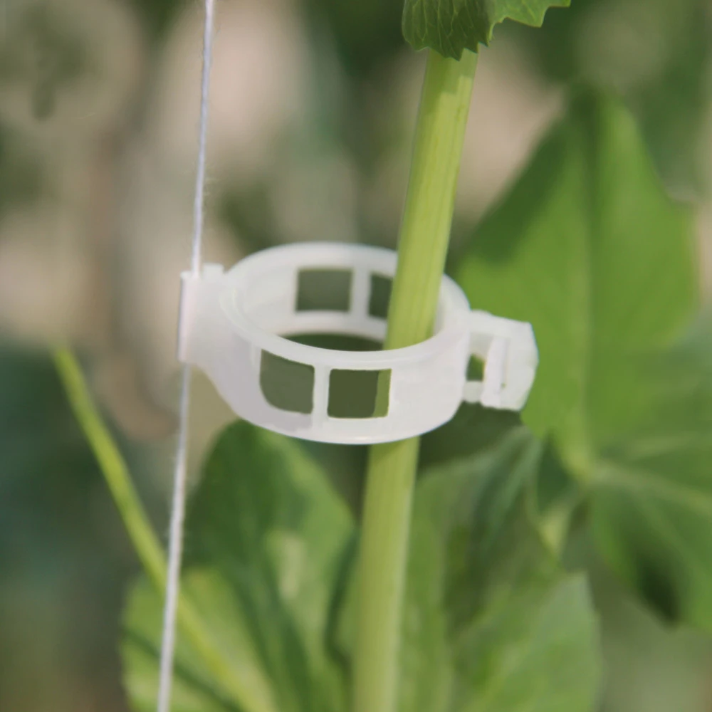 100pcs Plastic Tomato Veggie Garden Plant Support Clips Greenhouse