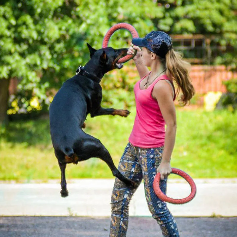 

Dog Agility Training Toys EVA Ring Dogs Puppy Chew Toys Teeth Cleaning Bite Resistant Interactive Dogs Toy Pet Supplies