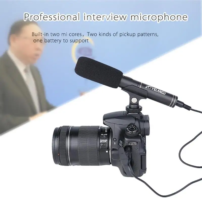 Portable Double Back Pole Condenser Hypercardioid