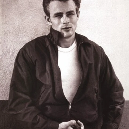 James Dean-Rebel постер печать (24x36) | Дом и сад
