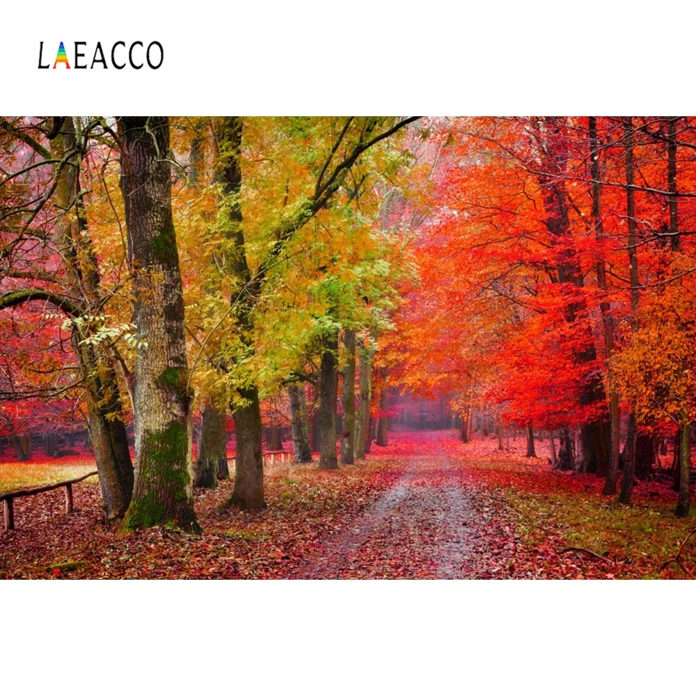 Laeacco Осенний красный желтый фотографический фон для фотостудии | Электроника