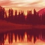 Отражение деревьев в воде Tipsoo Lake Mt Rainier National Park Washington State USA постер (18x6) | Дом и сад