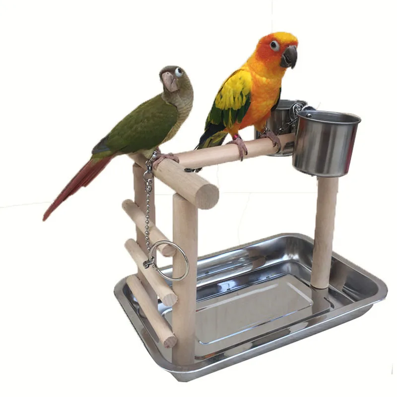 Wooden Parrot Stand Training Climbing Bird Holder Cage Stainless Steel