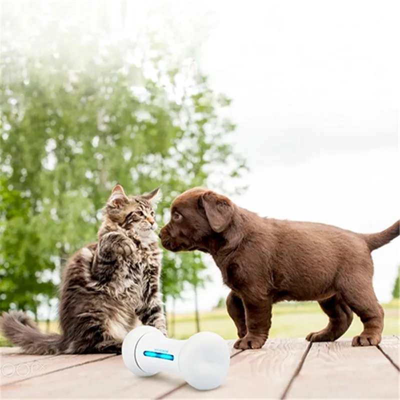 Wickedbone умный питомец эмоционное взаимодействие Bone игрушка умные игрушки для собак и кошек управление приложением может быть реагирует на игрушки эмоции домашних животных для собак