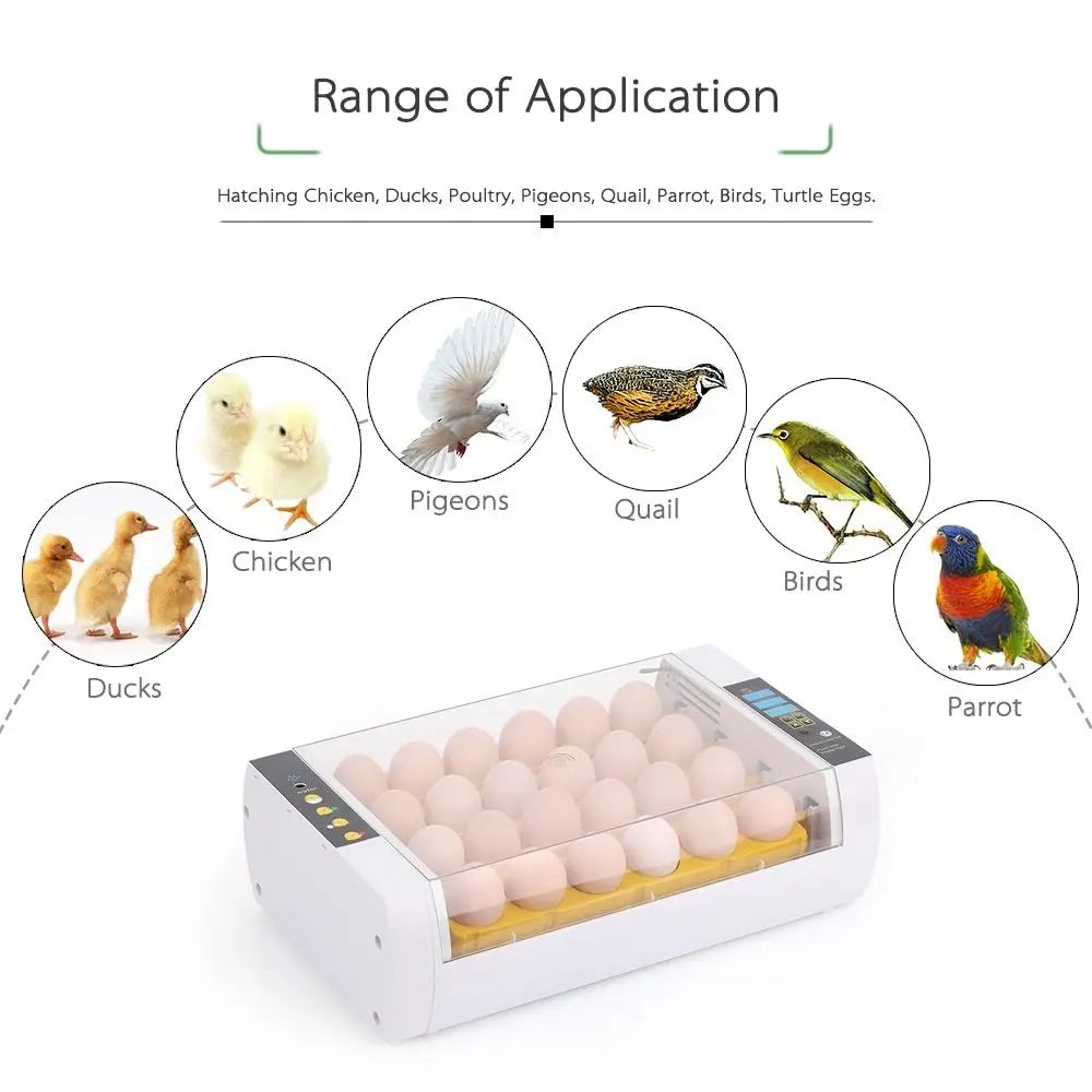 24-Eggs Intelligent Automatic Egg Incubator Temperature Control Hatcher for Hatching Chicken Duck Bird Quail Poultry 24-Eggs Intelligent Automatic Egg Incubator Temperature Control Hatcher for Hatching Chicken Duck Bird Quail Poultry