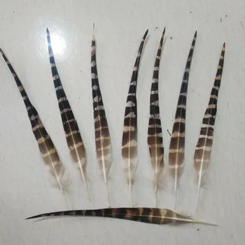 

10 Pcs natural Eagle feathers 15-20cm/6-8inch Selected Prime Quality Eagle feathers Diy jewelry wedding decorative accessories