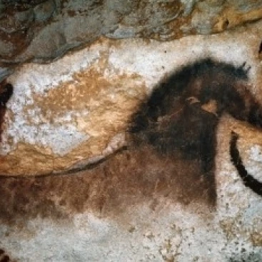 Uncompleted Horse Lascaux Caves France Poster Print (24 x 36) | Дом и сад