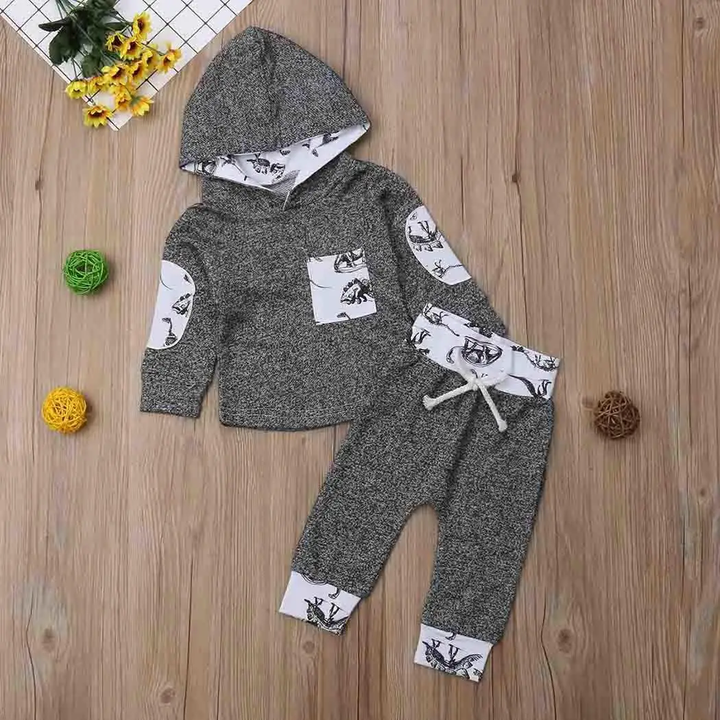 Baby Girls Boys Cute Cartoon Hooded Tops and Long Pants Patchwork All Seasons Outfits Everyday, Holiday Set