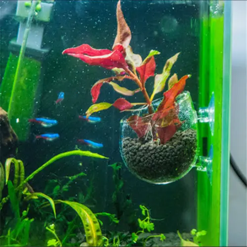 Новый водный горшок для аквариума с хрустальным стеклом аквариума|Детские