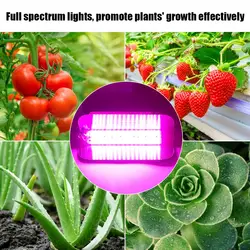 220 В 30 Вт 50 Вт 80 Вт комнатные растения COB светодиодный растущий светильник полный спектр растений лампа для выращивания растений