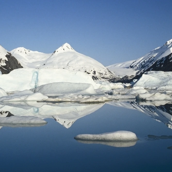 Айсберги в озере Portage Glacier Southcentral Alaska Poster Print (34x22) | Дом и сад
