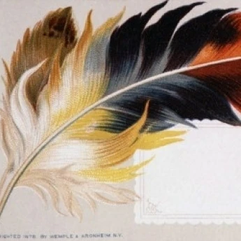 Feather Nostalgia Cards Poster Print (18 x 24) | Дом и сад
