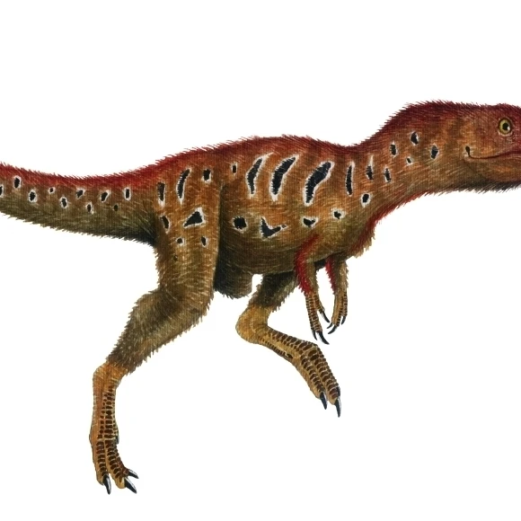 Акварельная живопись Xiongguanlong baimoensis плакат печать (37x21)|Таблички и знаки| |