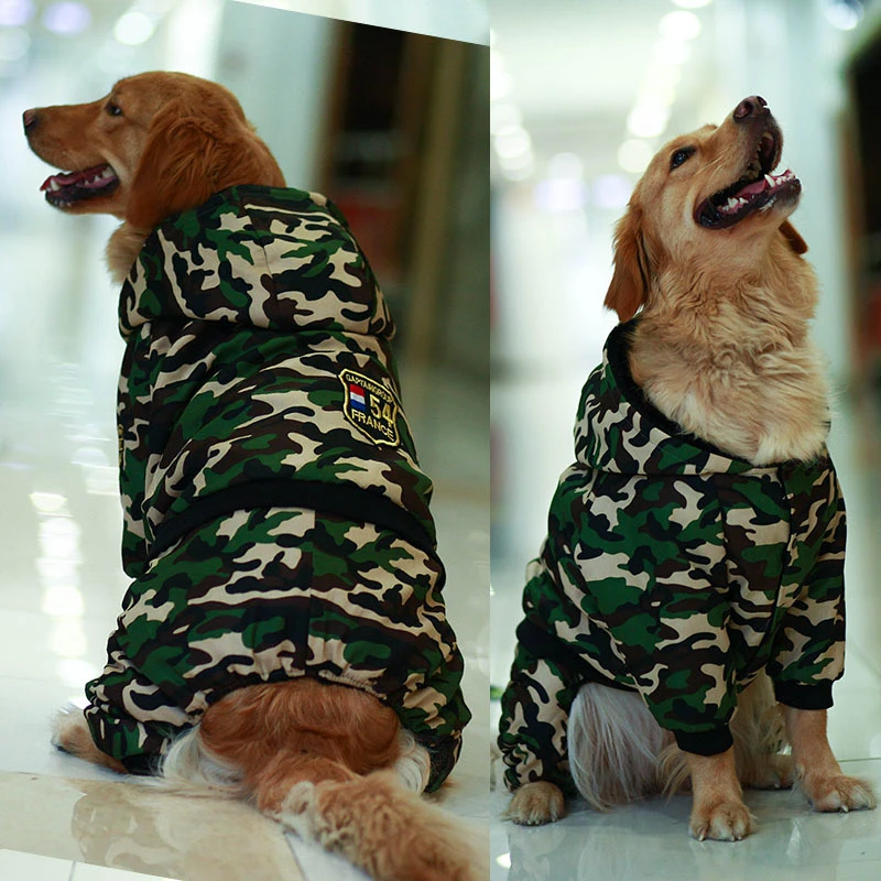 border collie jacket