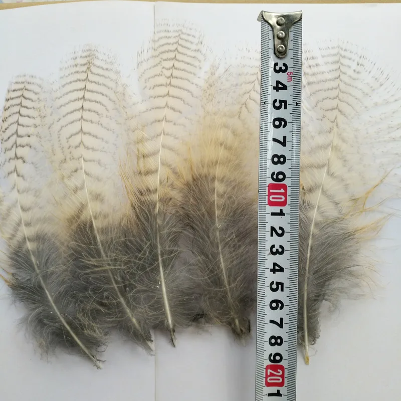 10 pieces rare natural Owl Eagle Feathers long 10-20 cm DIY Feather art design