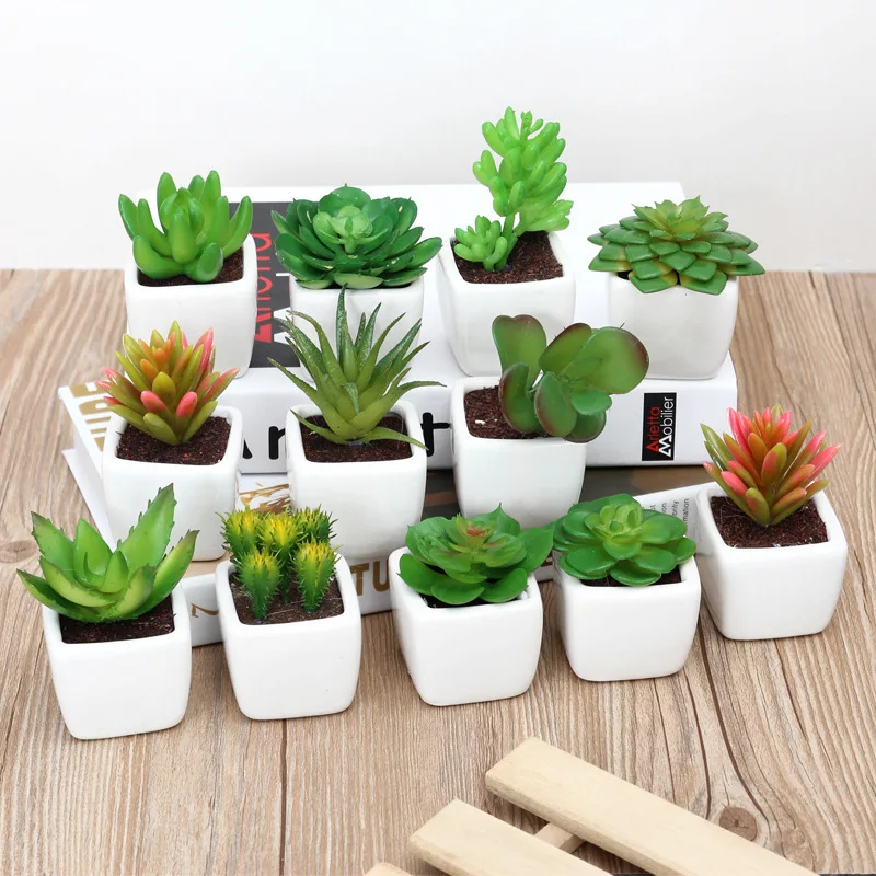 

Mini Simulation Plants Succulents Potted Small Decorations Simulation Flower