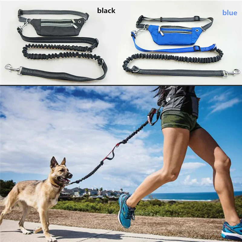 Multifunction Nylon Waist Bag With Hands Leash Free Dog Leash With