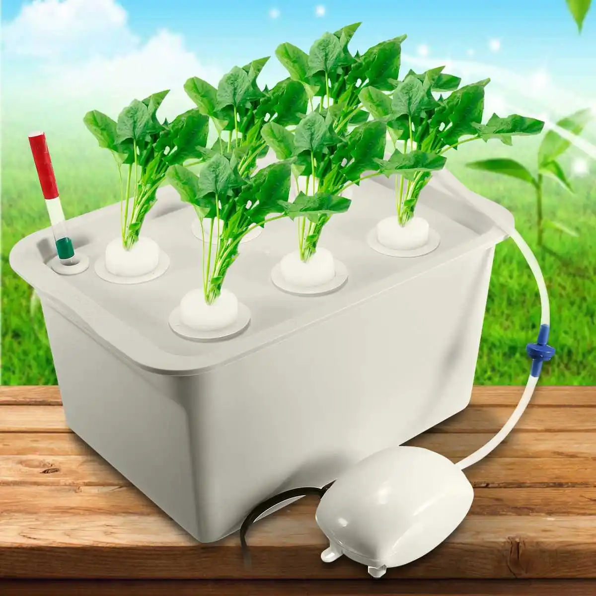 1 sets 220V/110V Plant Site Hydroponic Systems Kit 6 Holes Nursery Pots Soilless Cultivation Box Plant Seedling Grow Box Kit 1 sets 220V/110V Plant Site Hydroponic Systems Kit 6 Holes Nursery Pots Soilless Cultivation Box Plant Seedling Grow Box Kit