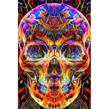 Фото на заказ! Diy 5D алмазная картина по номеру Комплект, полный Алмазный Череп со стразами вышивка крестиком Искусство ремесло для холста