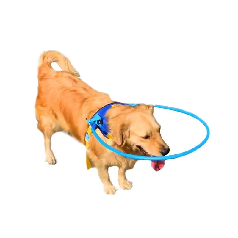 

Simple Blind Pet Collar Dog Protective Collision Resistant Ring For Cat Dog Lightweight Pet Collar Dog Collar Pet Supplies