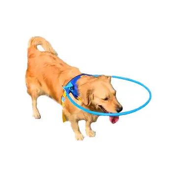 

Simple Blind Pet Collar Dog Protective Collision Resistant Ring For Cat Dog Lightweight Pet Collar Dog Collar Pet Supplies