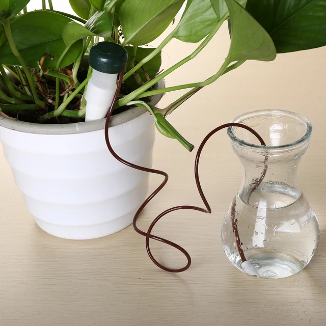Best Offers 1pc Automatic Flower Pot Waterer Plant Drip Watering System Water Irrigation Spike For Houseplant Garden Tool