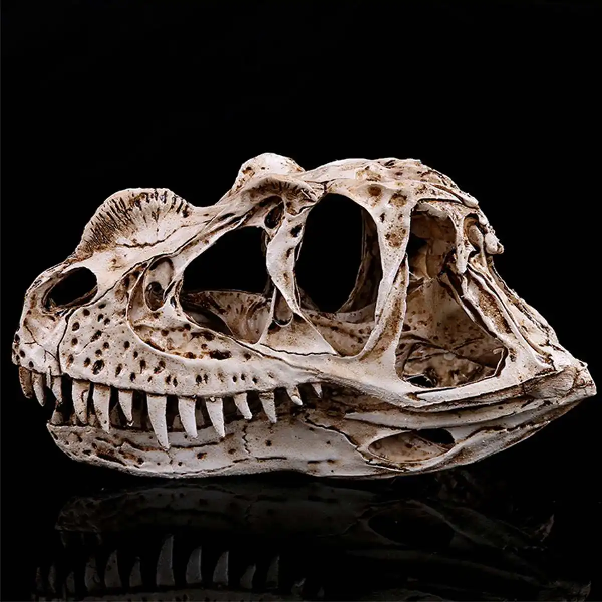 DIY Ceratosaurus изделия из смолы динозавр зуб череп обучающий скелет модель Хэллоуин домашнее офисное украшение для вечеринки 3x7x17.5cm DIY Ceratosaurus изделия из смолы динозавр зуб череп обучающий скелет модель Хэллоуин домашнее офисное украшение для вечеринки 3x7x17.5cm