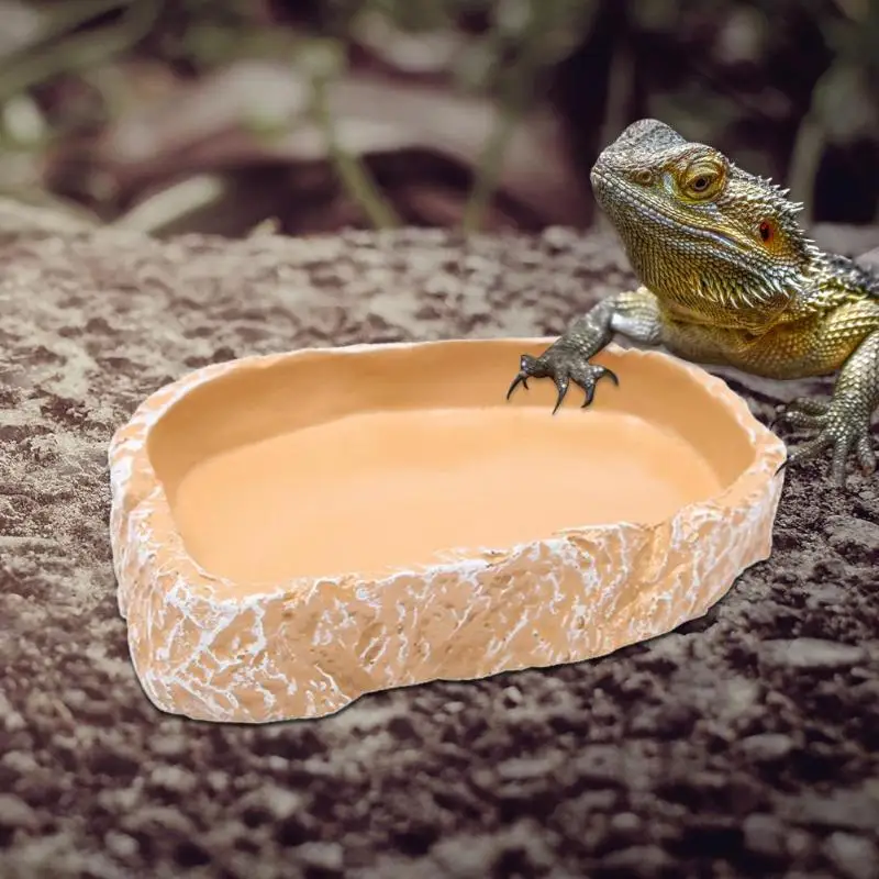 

Resin Lizards Gecko Reptiles Bowl Basin Food Container Feeder Feeding Dish