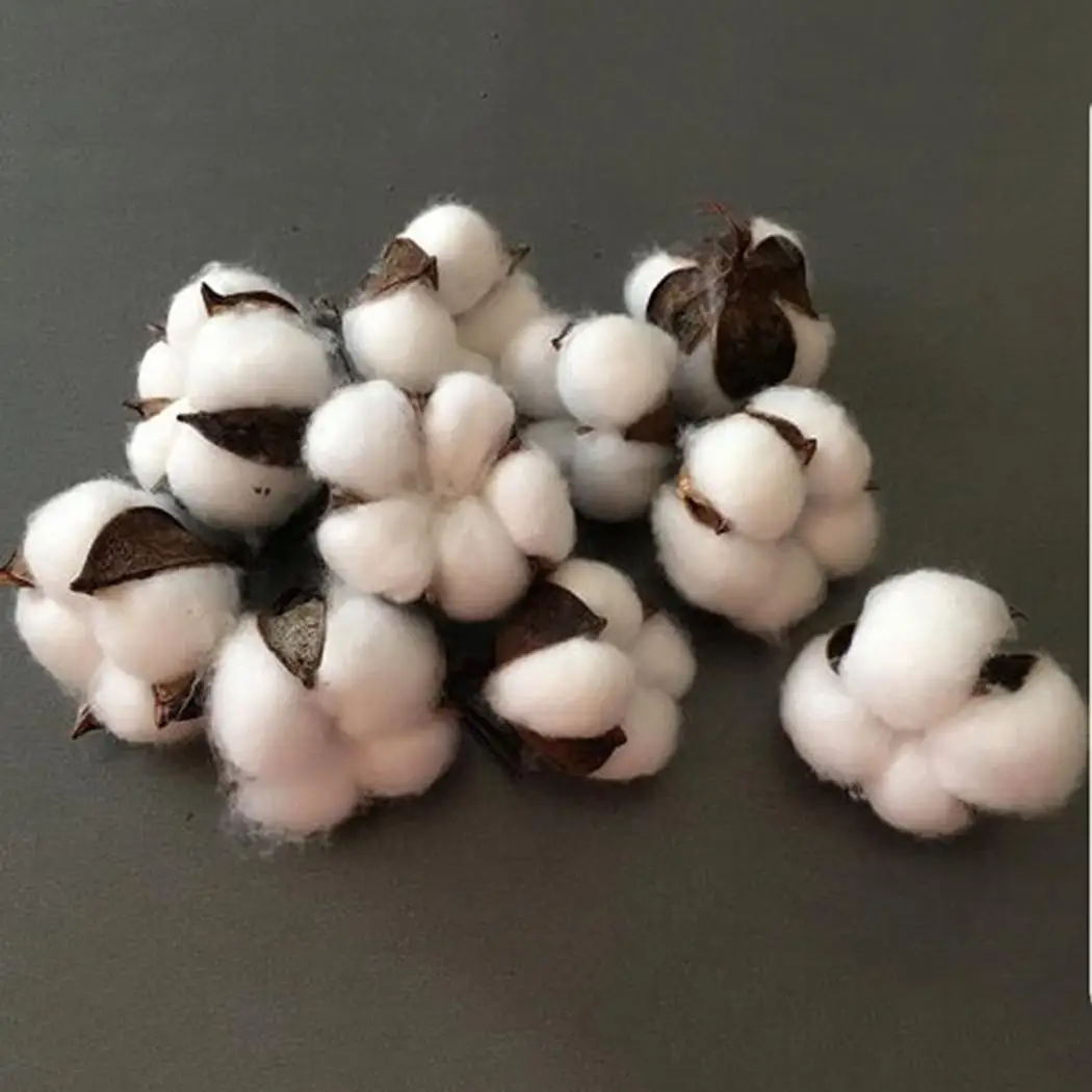 

Dried Flowers Home Wedding Decor Single Branch Handmade Decoration Cotton Flower 5cmPhotography Prop White