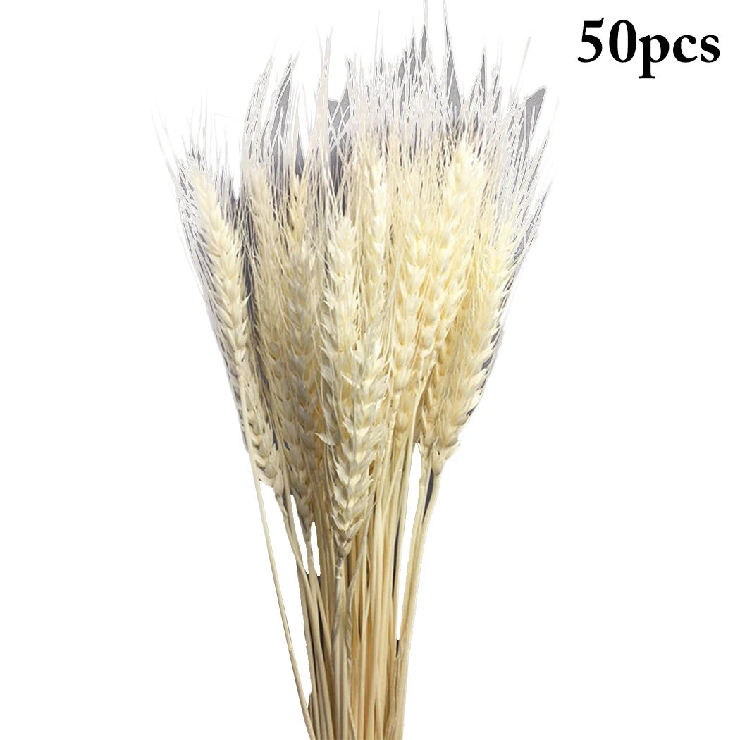 

50Pcs/Bundle Rural Art Wheat Ears Dried Wheat Sheaves Elegant Pressed Flowers DIY Home Decorations Desktop Furnishings
