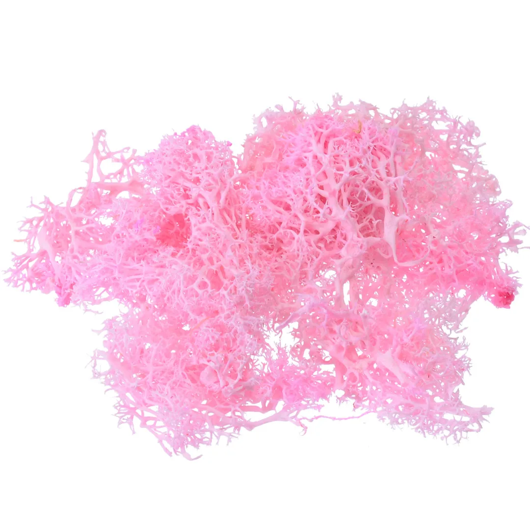 1pcs 10g Colorful Artificial Moss Plant DIY Dried Reindeer Moss Artificial Craft Flowers for Plant Pot Garden Home Wedding Decor 1pcs 10g Colorful Artificial Moss Plant DIY Dried Reindeer Moss Artificial Craft Flowers for Plant Pot Garden Home Wedding Decor