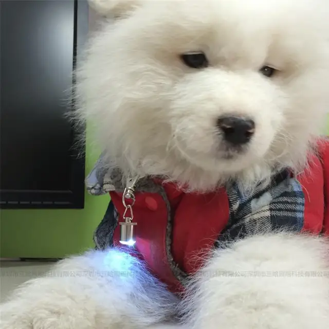 Flashing LED Collar Battery Operated 2