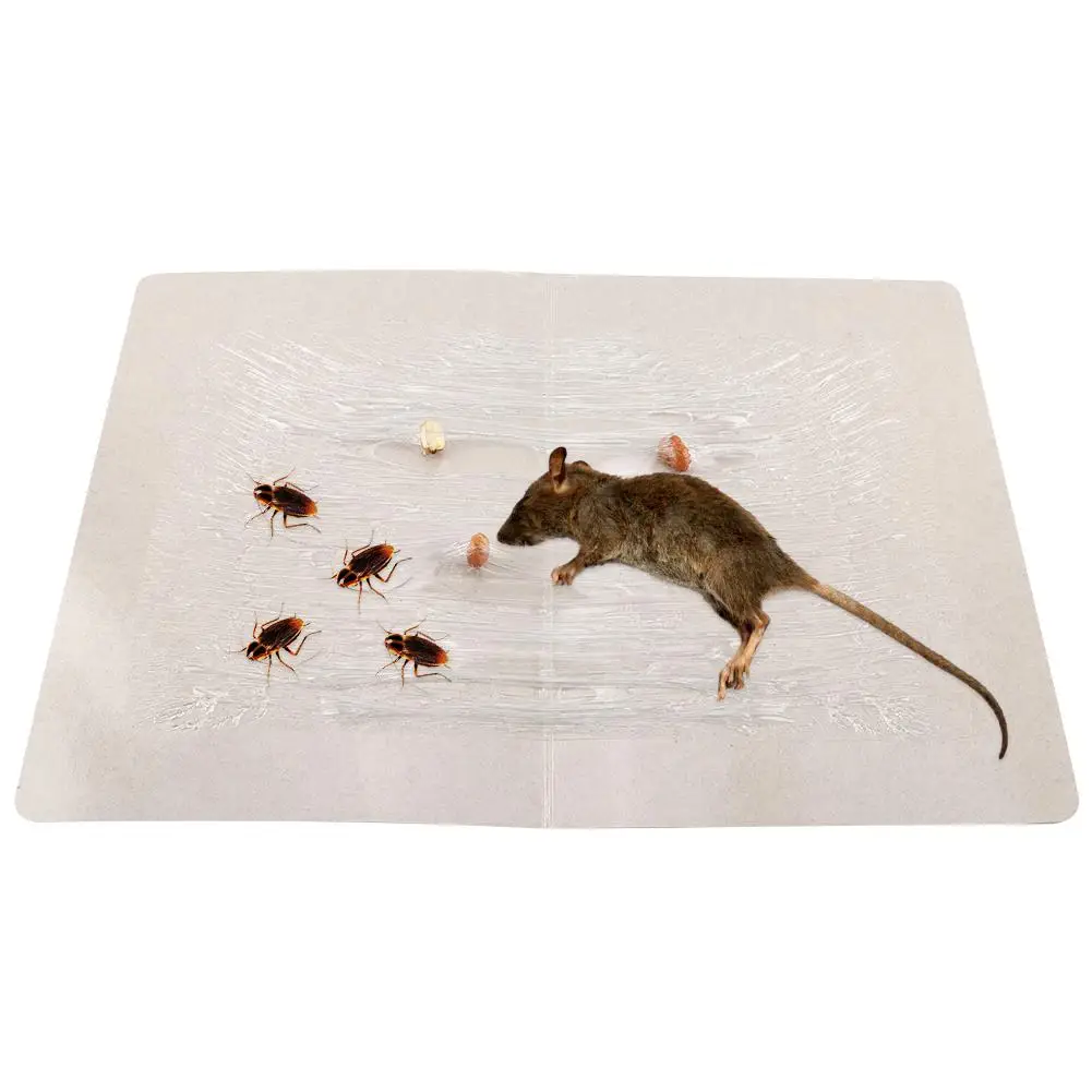 Non-toxic Tasty Meat Scent Strong Sticky Adhesive Mouse Glue Trap Inset Pests Control Reject Catcher Household Tool Non-toxic Tasty Meat Scent Strong Sticky Adhesive Mouse Glue Trap Inset Pests Control Reject Catcher Household Tool