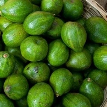 Бенин Ouidah Produce market Avocados плакат печать Синди Миллер Хопкинс (17x11)|Таблички и знаки| |