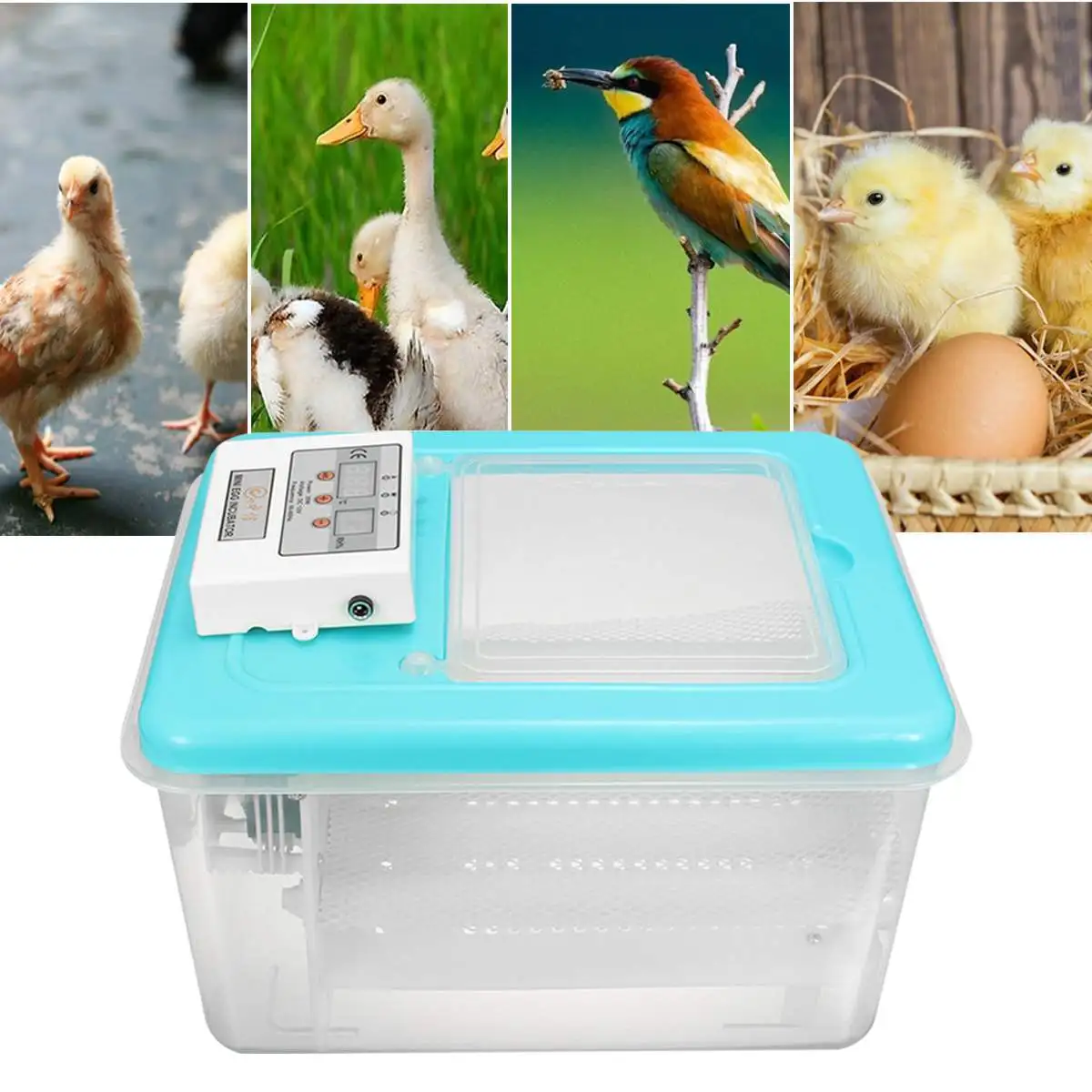 

30W 12 Eggs Mini Digital Incubator Hatcher Auto Turning Incubator Dual Power Supply Intelligent Control Hatchers 12V/110-220V