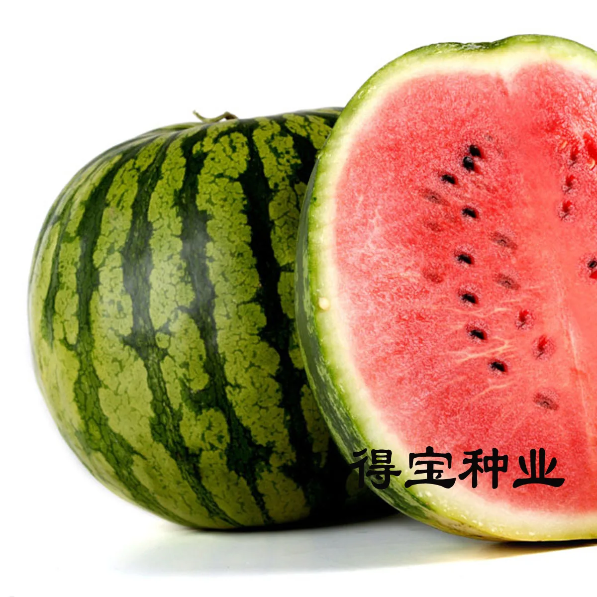 

Fruits And Vegetables bonsai Watermelon bonsai Terrace Garden Pot Plant Field Soil 10pcs