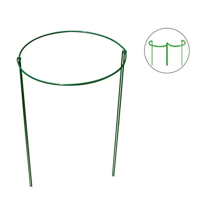 

Small Garden Plant Support Rings for Clematis Morning Glory Lily Tomato Cucumber Sweet-Pea 2PCs domates suporte para plantas