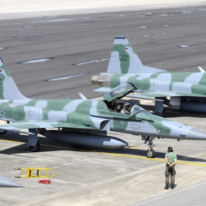 Линия бразильских ВВС F-5EM на Натал базы Бразилии плакат печать (34x22) | Дом и сад