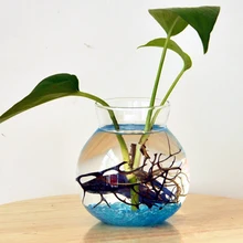 Прозрачный Стекло подвесная ваза-Террариум гидропонный горшок домашний Цветочный декор стеклянный террариум гидропонный горшок в форме вазы домашний декор для стола