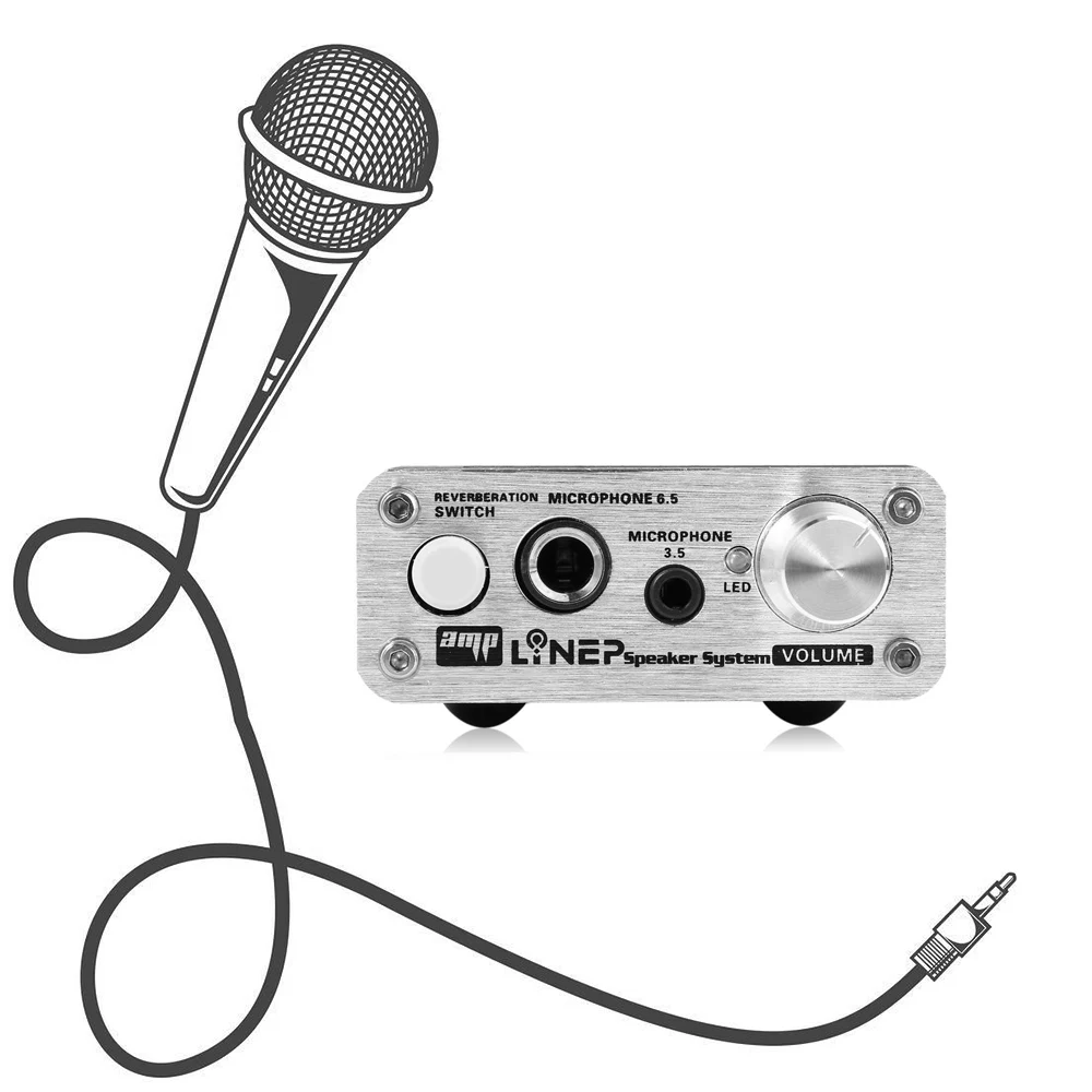 Mini Mic Audio Amplifier Microphone Sound Amplifier Mic Reverberation 2 Channel for Karaoke Dynamic Microphone