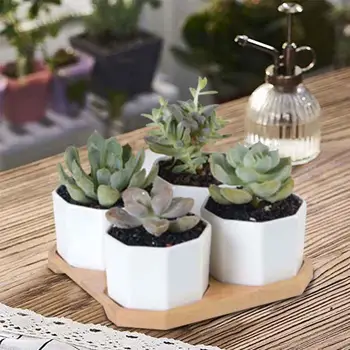 

Creative Succulent Plant Pots White Ceramic Small Succulent Cactus Flower Plant Pot With Bamboo Tray For Home Garden Decoration
